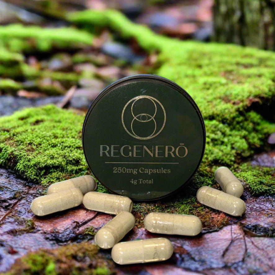 Regenero capsules on a natural background with green moss and rocks.